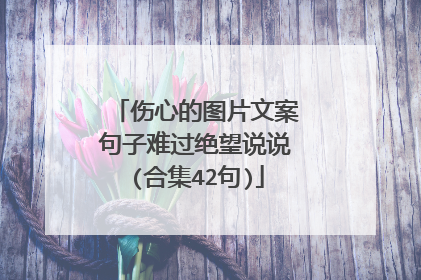 伤心的图片文案句子难过绝望说说(合集42句)