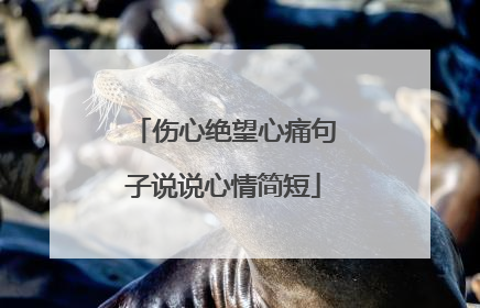 伤心绝望心痛句子说说心情简短