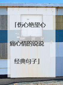 伤心绝望心痛心情的说说经典句子