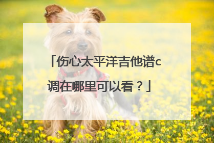 伤心太平洋吉他谱c调在哪里可以看?