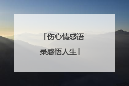 伤心情感语录感悟人生