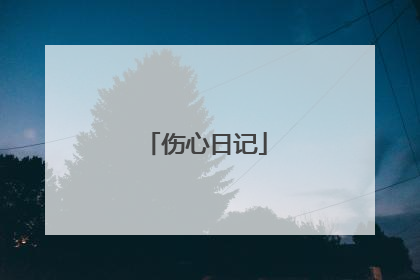 伤心日记