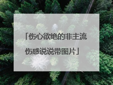 伤心欲绝的非主流伤感说说带图片