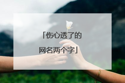 伤心透了的网名两个字