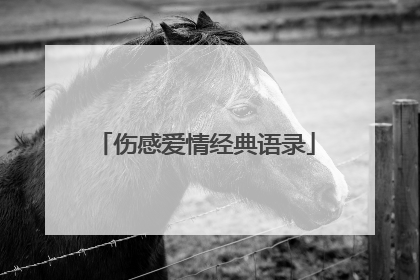 伤感爱情经典语录