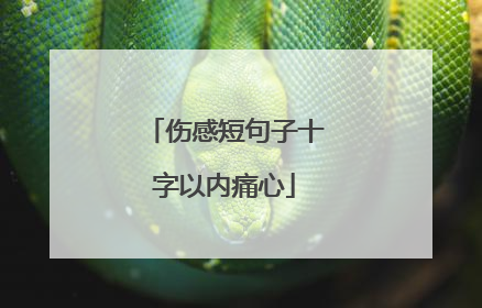 伤感短句子十字以内痛心