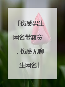 伤感男生网名带寂寞,伤感无聊 生网名