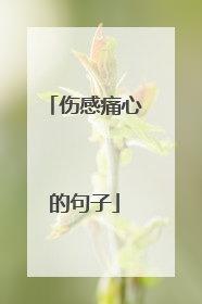 伤感痛心的句子