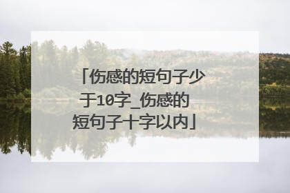 伤感的短句子少于10字_伤感的短句子十字以内