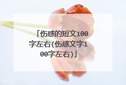 伤感的短文100字左右(伤感文字100字左右)