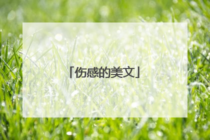 伤感的美文
