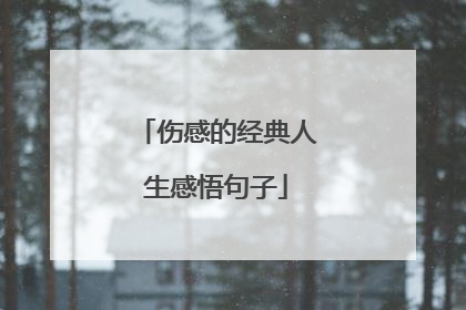 伤感的经典人生感悟句子