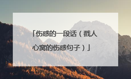 伤感的一段话（戳人心窝的伤感句子）