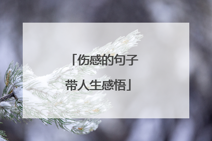 伤感的句子带人生感悟