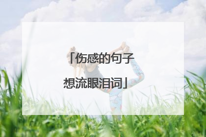 伤感的句子想流眼泪词