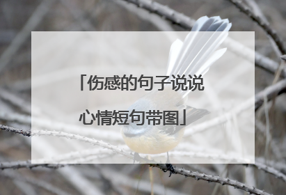 伤感的句子说说心情短句带图