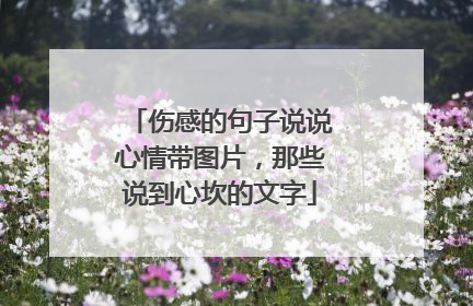 伤感的句子说说心情带图片,那些说到心坎的文字