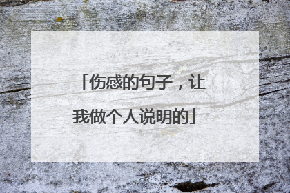 伤感的句子，让我做个人说明的