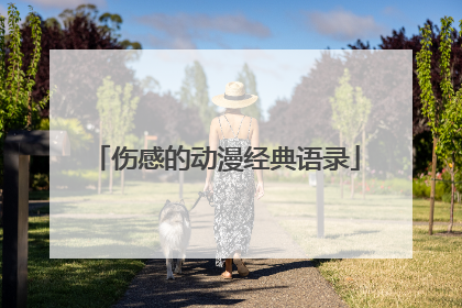 伤感的动漫经典语录