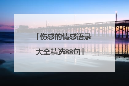 伤感的情感语录大全精选88句