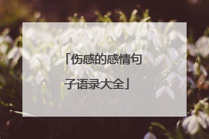 伤感的感情句子语录大全