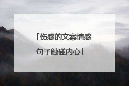 伤感的文案情感句子触碰内心