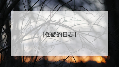 伤感的日志