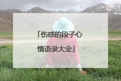 伤感的段子心情语录大全