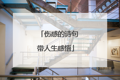 伤感的诗句带人生感悟