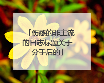 伤感的非主流的日志标题关于分手后的