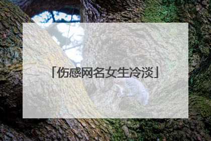 伤感网名女生冷淡