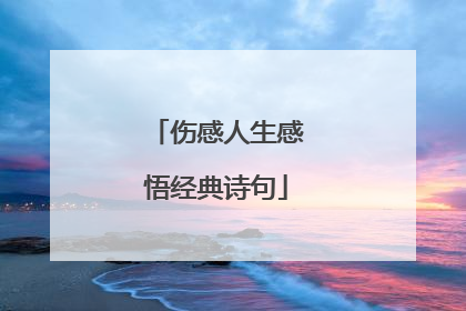 伤感人生感悟经典诗句