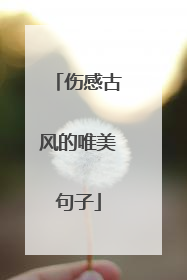 伤感古风的唯美句子