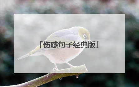 伤感句子经典版