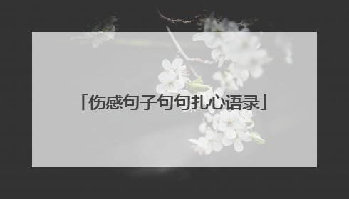 伤感句子句句扎心语录