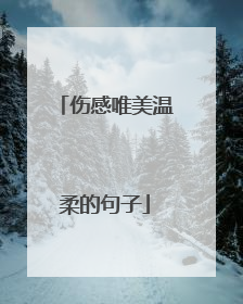 伤感唯美温柔的句子