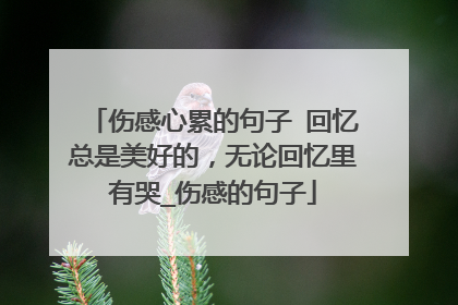 伤感心累的句子 回忆总是美好的,无论回忆里有哭_伤感的句子