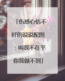 伤感心情不好的说说配图:叫我不在乎你我做不到