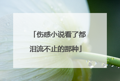 伤感小说看了都泪流不止的那种