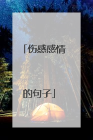 伤感感情的句子