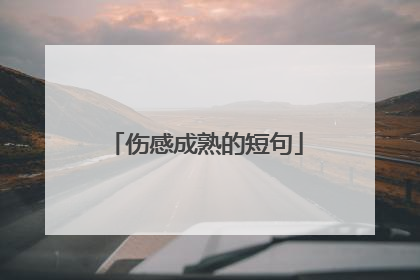 伤感成熟的短句