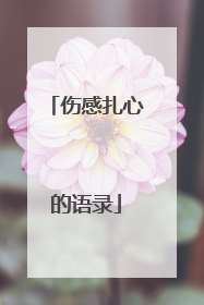 伤感扎心的语录