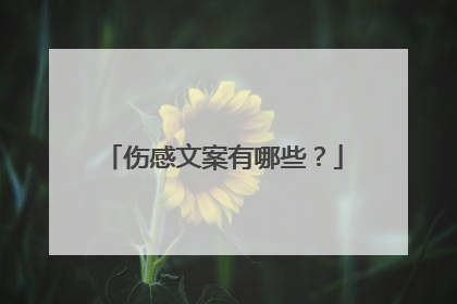 伤感文案有哪些?