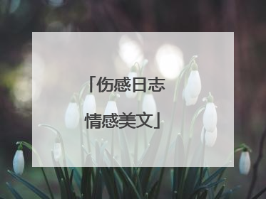 伤感日志 情感美文
