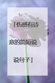 伤感有诗意的简短说说句子