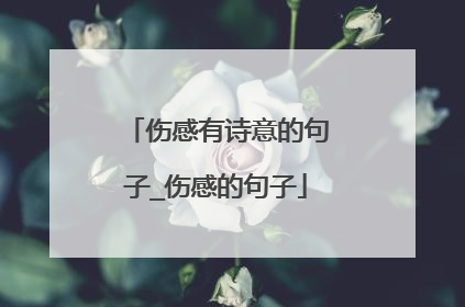 伤感有诗意的句子_伤感的句子