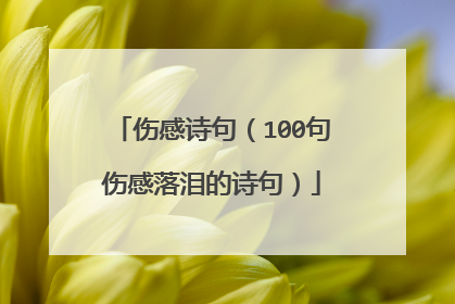 伤感诗句(100句伤感落泪的诗句)