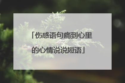 伤感语句痛到心里的心情说说短语