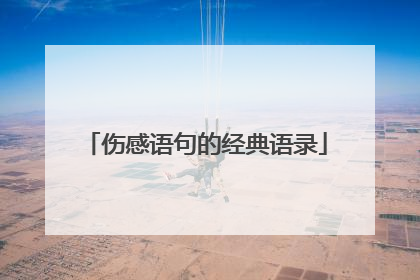 伤感语句的经典语录