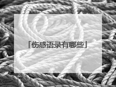 伤感语录有哪些